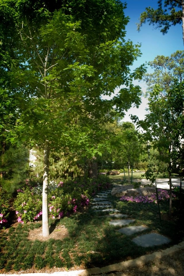 Traditional Garden by Gail Hartz & Associates - Photo 4