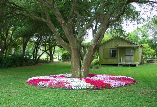 Gail Hartz & Associates - Photo 11