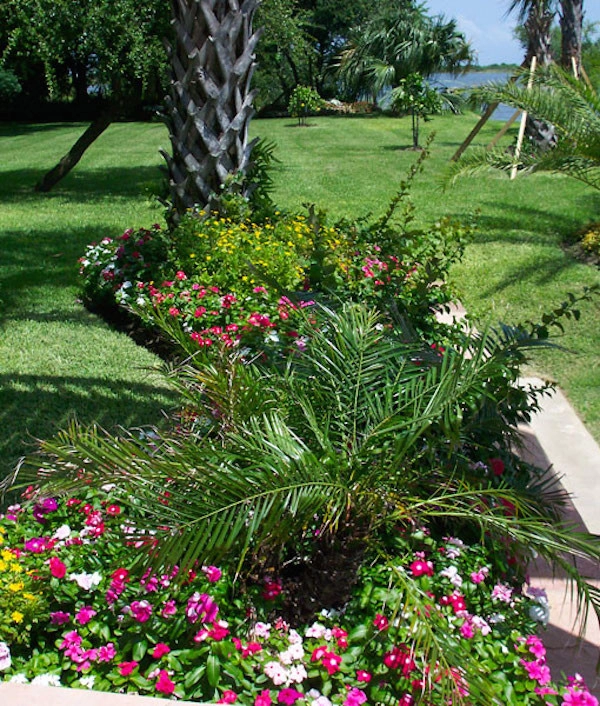 Galveston Landscape Designs by Gail Hartz & Associates - Photo 7