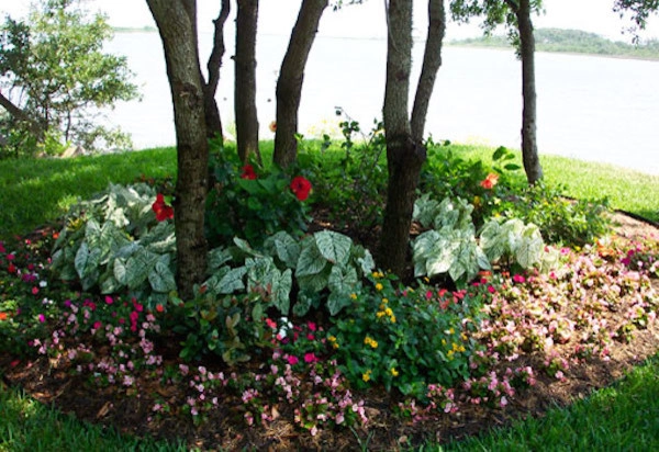 Galveston Landscape Designs by Gail Hartz & Associates - Photo 16