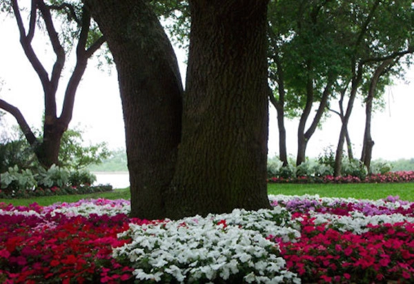 Galveston Landscape Designs by Gail Hartz & Associates - Photo 13
