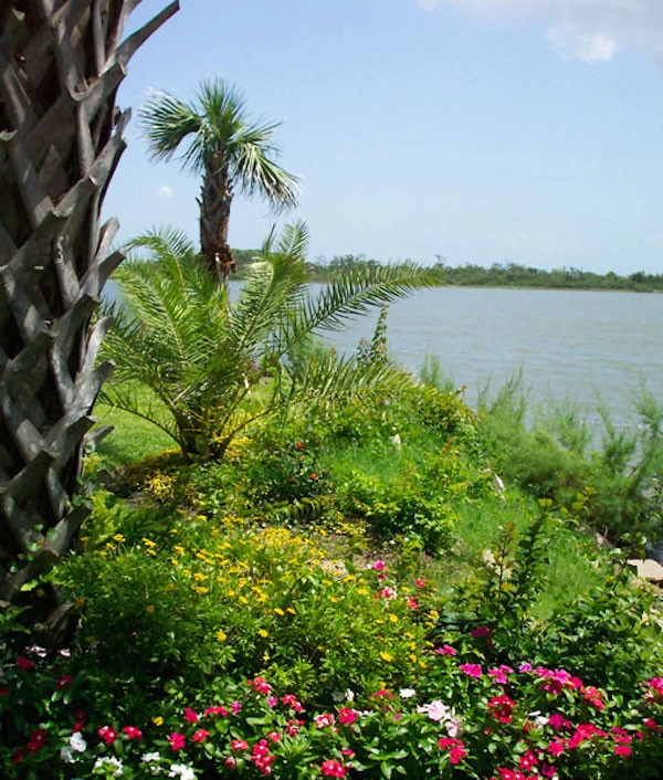 Galveston Landscape Designs by Gail Hartz & Associates - Photo 14
