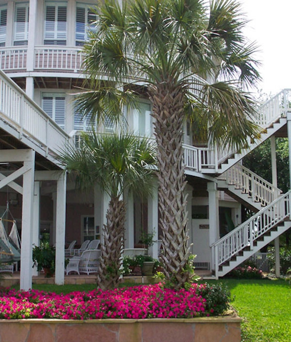 Galveston Landscape Designs by Gail Hartz & Associates - Photo 12