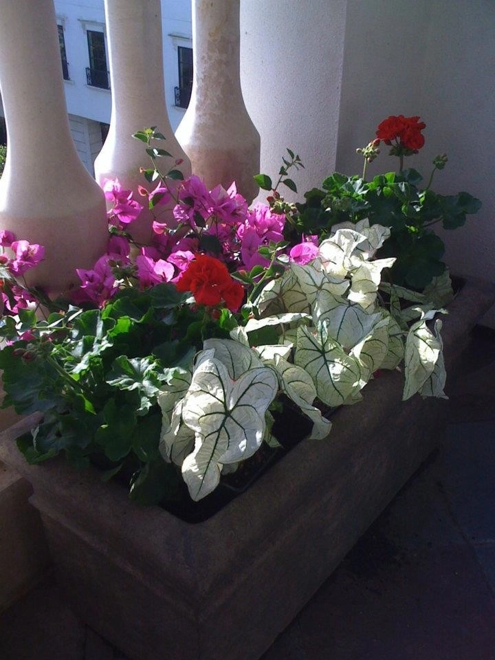 Gail Hartz & Associates - Photo 7