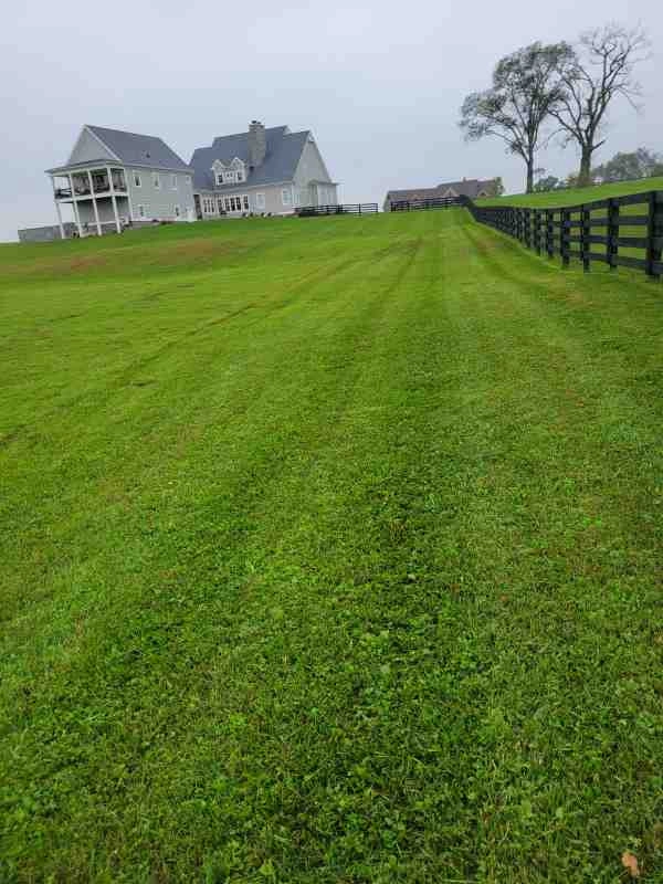 Alberto Alavez Professional Lawn Services LLC 4 by Alberto Alavez Professional Lawn Services LLC - Photo 98