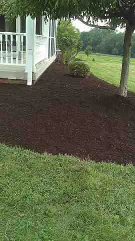 Alberto Alavez Professional Lawn Services LLC 4 by Alberto Alavez Professional Lawn Services LLC - Photo 148