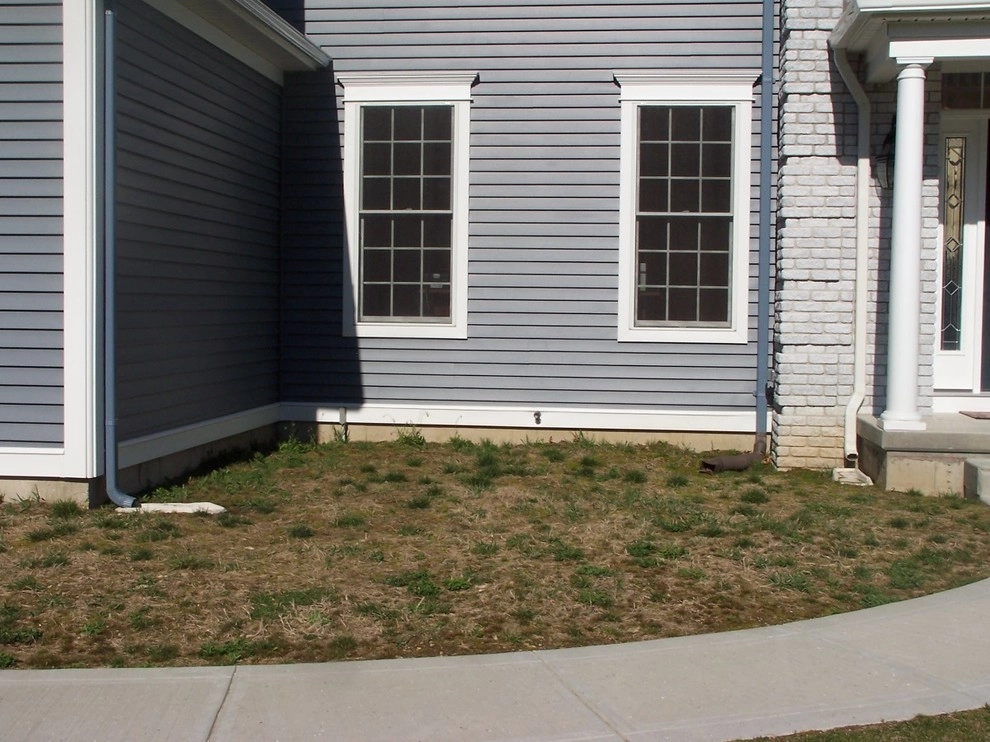New Build ..the corner before /afters by Garden Designs By Jacqueline, Llc. - Photo 2