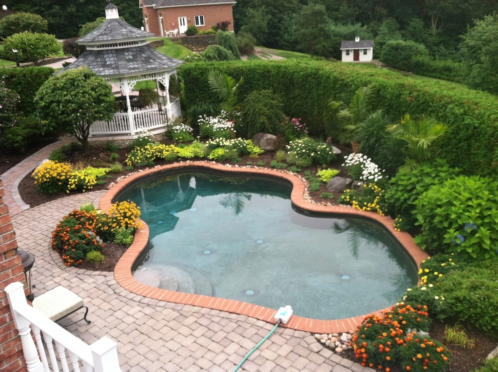 Annual/Perennials around Pool by Garden Designs By Jacqueline, Llc. - Photo 2