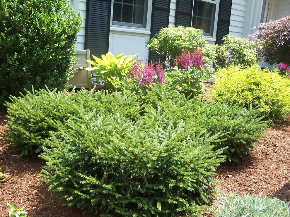 Rugby by Garden Designs By Jacqueline, Llc. - Photo 4