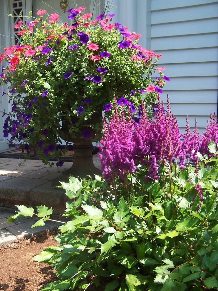 Rugby by Garden Designs By Jacqueline, Llc. - Photo 5