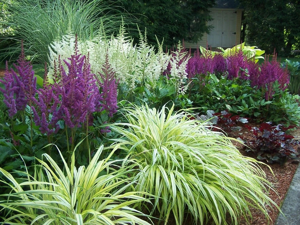 Shade to half day sun landscape by Garden Designs By Jacqueline, Llc. - Photo 7