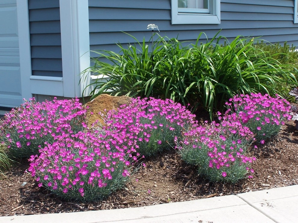 New Build Before and Afters 2010/2012 by Garden Designs By Jacqueline, Llc. - Photo 2