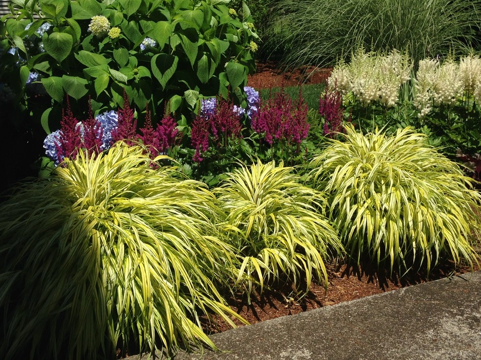 Shade to half day sun landscape by Garden Designs By Jacqueline, Llc. - Photo 2