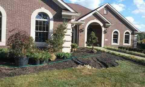 Alberto Alavez Professional Lawn Services LLC 4 by Alberto Alavez Professional Lawn Services LLC - Photo 154