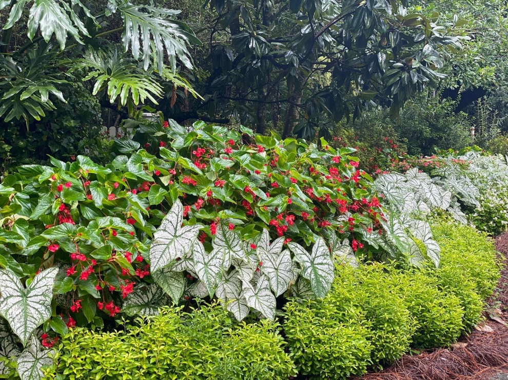 Garden Doctors Landscaping - Photo 11