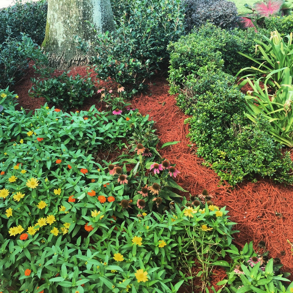 Landscape & Plant Designs by Garden Doctors Landscaping - Photo 9