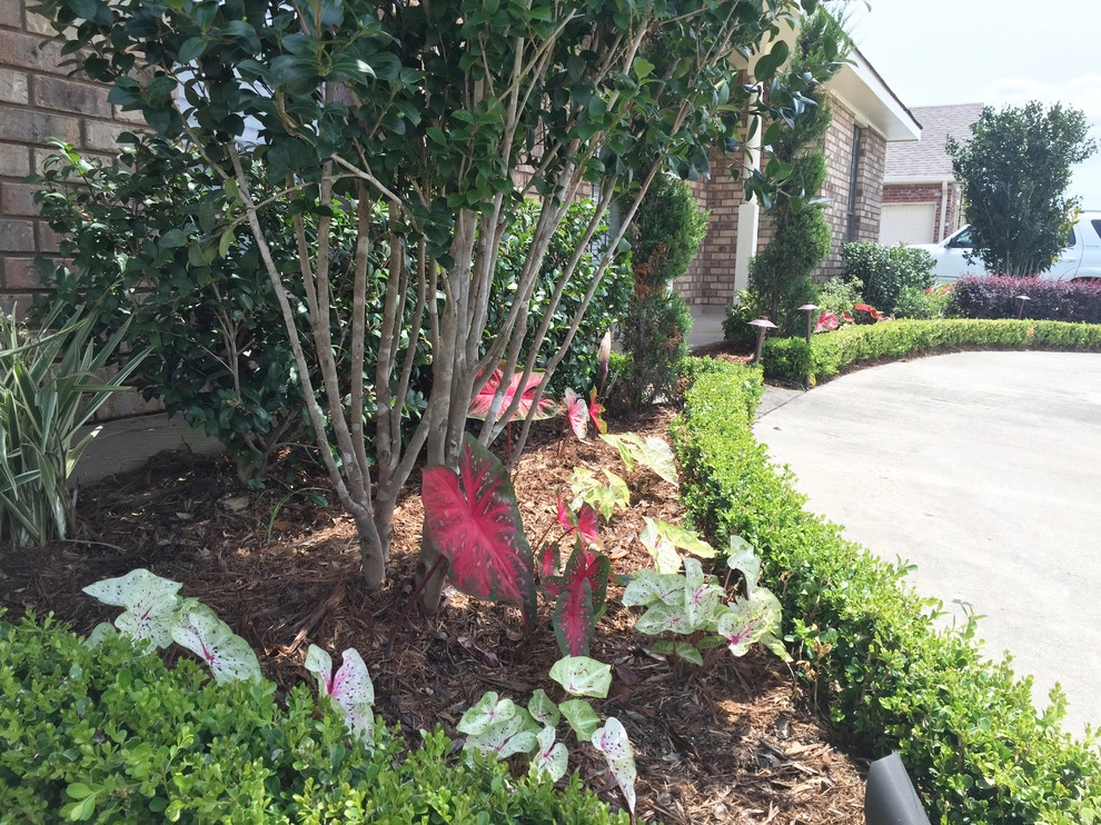 New Orleans Brick Rambler by Garden Doctors Landscaping - Photo 2