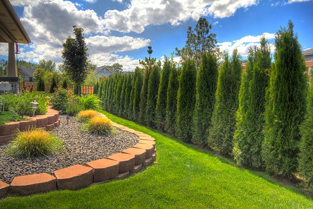 Cripple Creek Landscapes - Photo 10