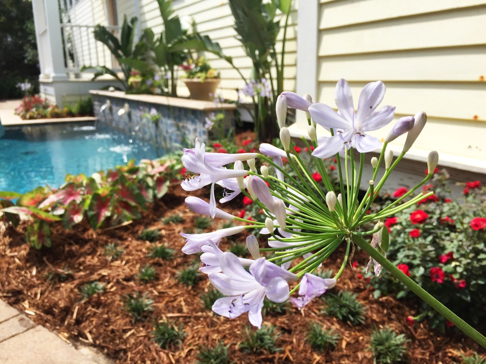 Garden Doctors Landscaping - Photo 10
