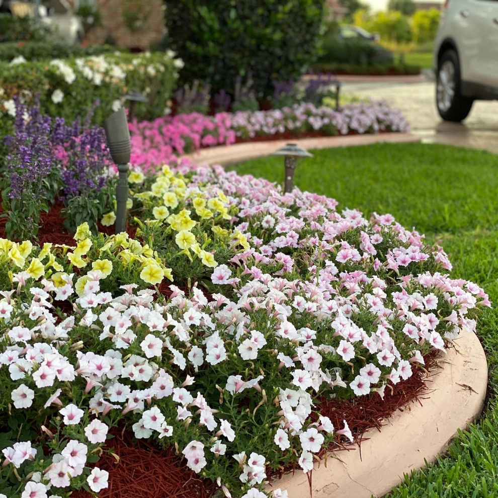 Landscape & Plant Designs by Garden Doctors Landscaping - Photo 6