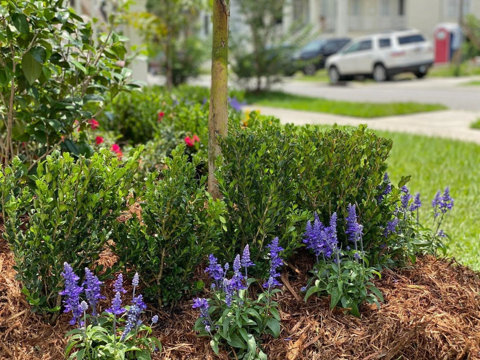Landscape & Plant Designs by Garden Doctors Landscaping - Photo 8
