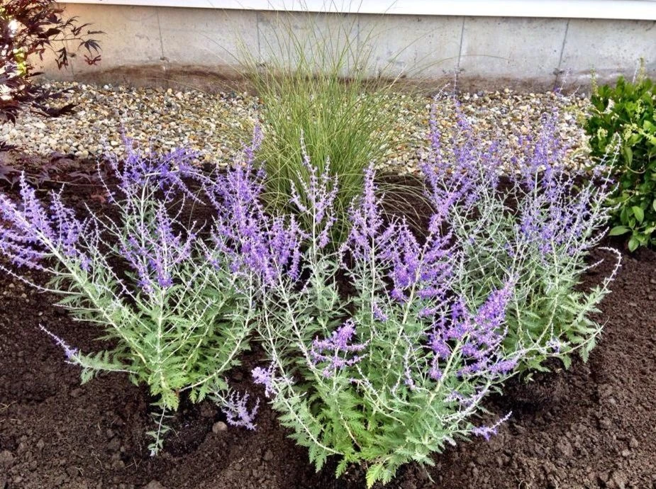 CRW Landscaping LLC - Photo 13