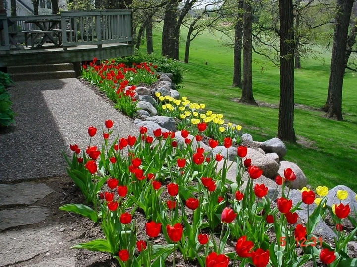 Crystal Landscape Design And Contractors - Photo 10