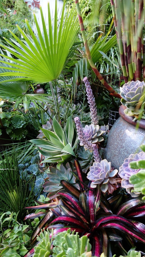 Container gardens by Garden Fantasia - Photo 28