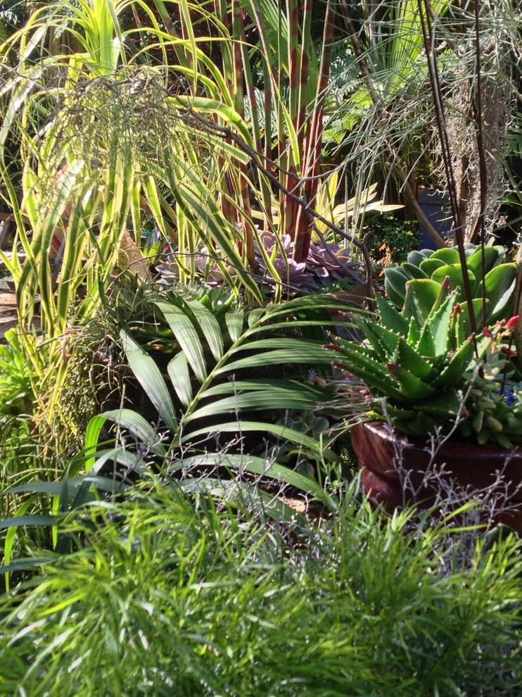 Container gardens by Garden Fantasia - Photo 12
