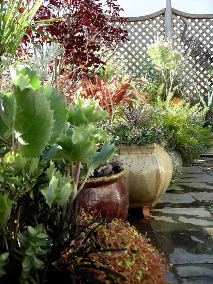 Container gardens by Garden Fantasia - Photo 26