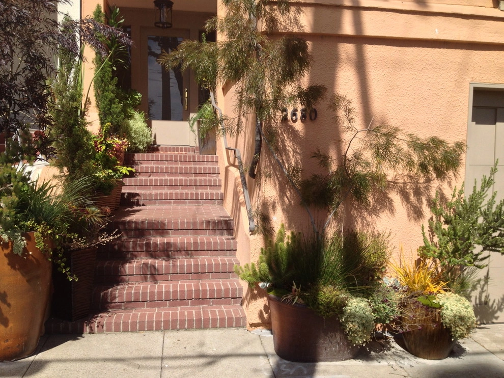 Garden Fantasia - Photo 11