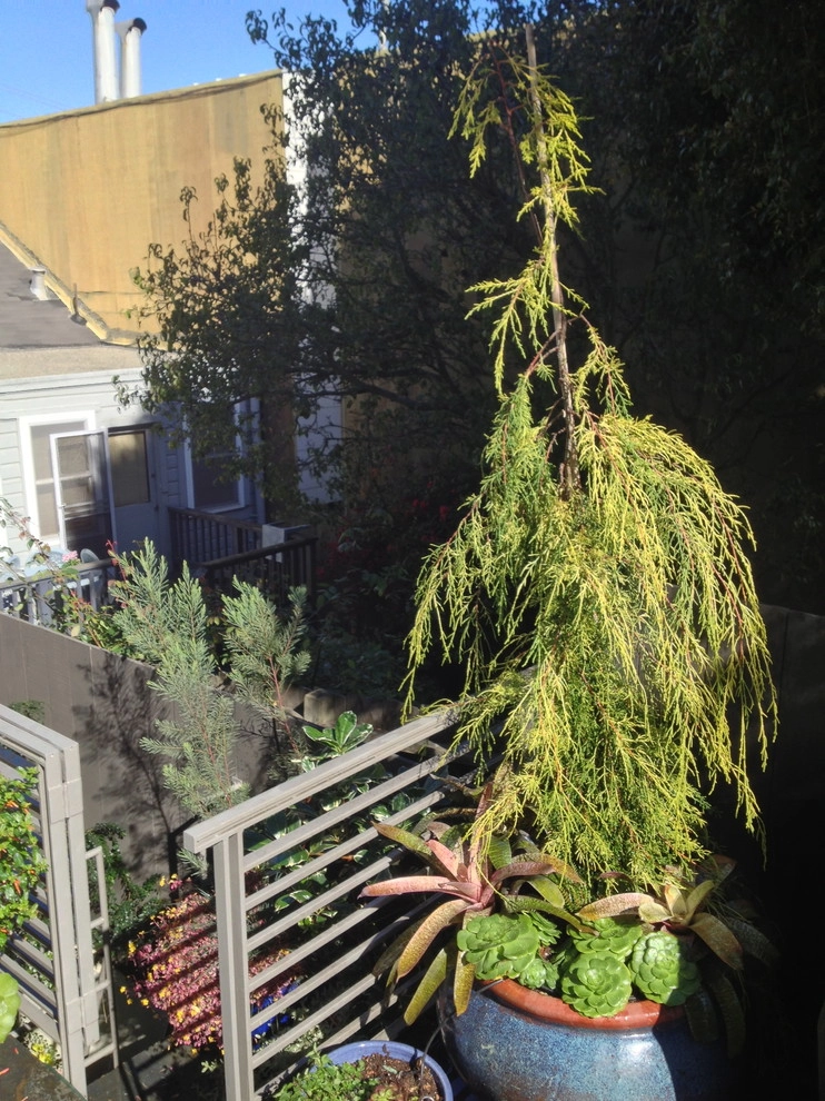 Garden Fantasia - Photo 12