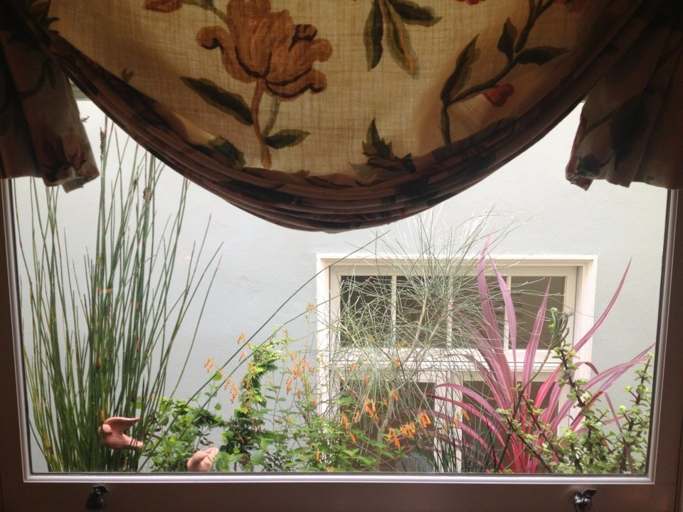 Container gardens by Garden Fantasia - Photo 36