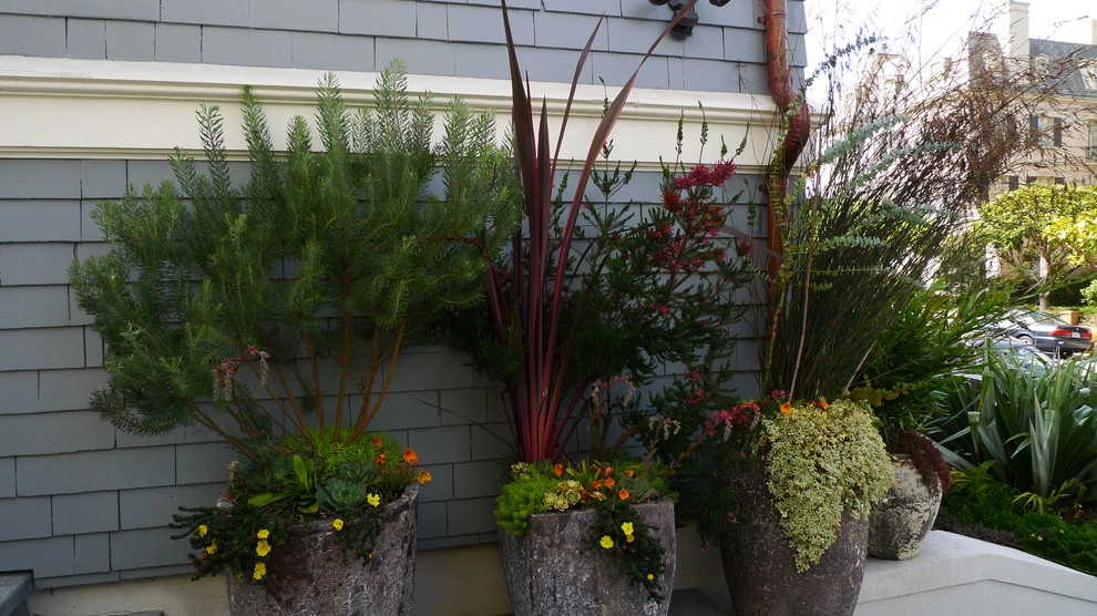 Container gardens by Garden Fantasia - Photo 33