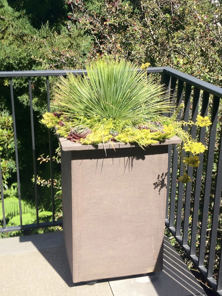 Container gardens by Garden Fantasia - Photo 16
