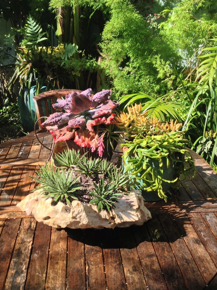 Container gardens by Garden Fantasia - Photo 34