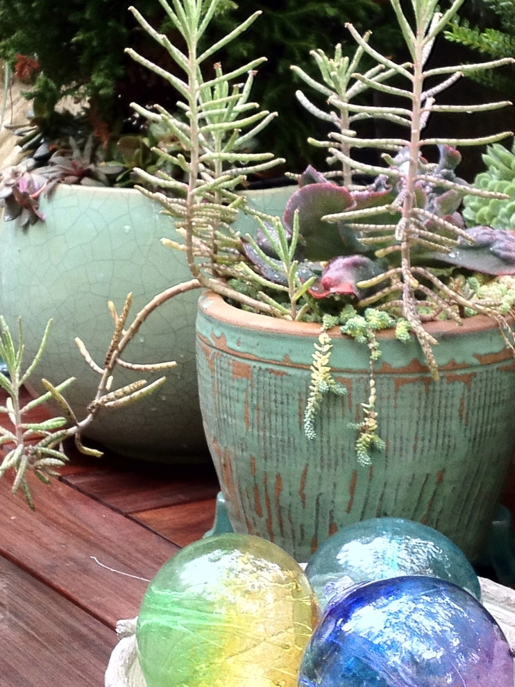 Container gardens by Garden Fantasia - Photo 25