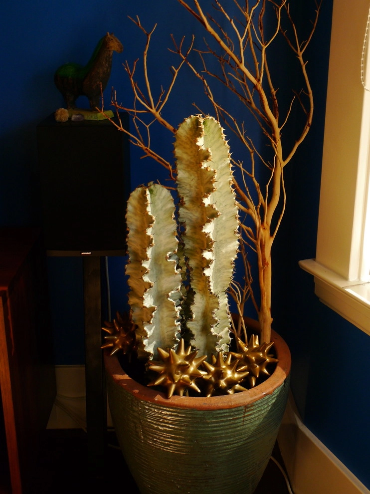 Container gardens by Garden Fantasia - Photo 14