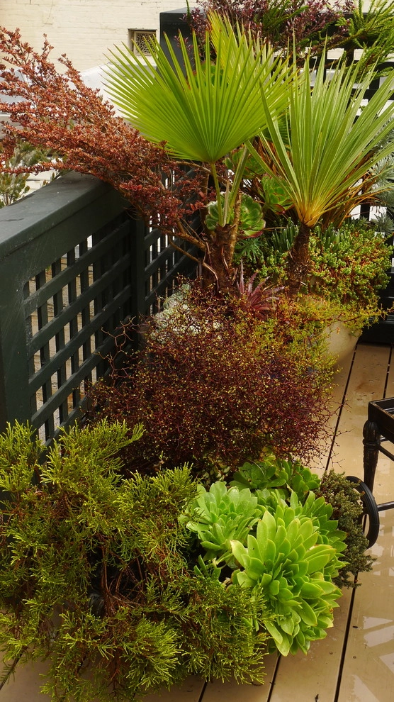 Container gardens by Garden Fantasia - Photo 8