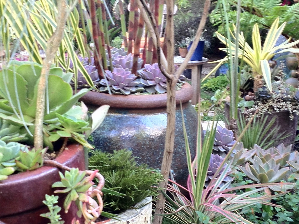 Container gardens by Garden Fantasia - Photo 21
