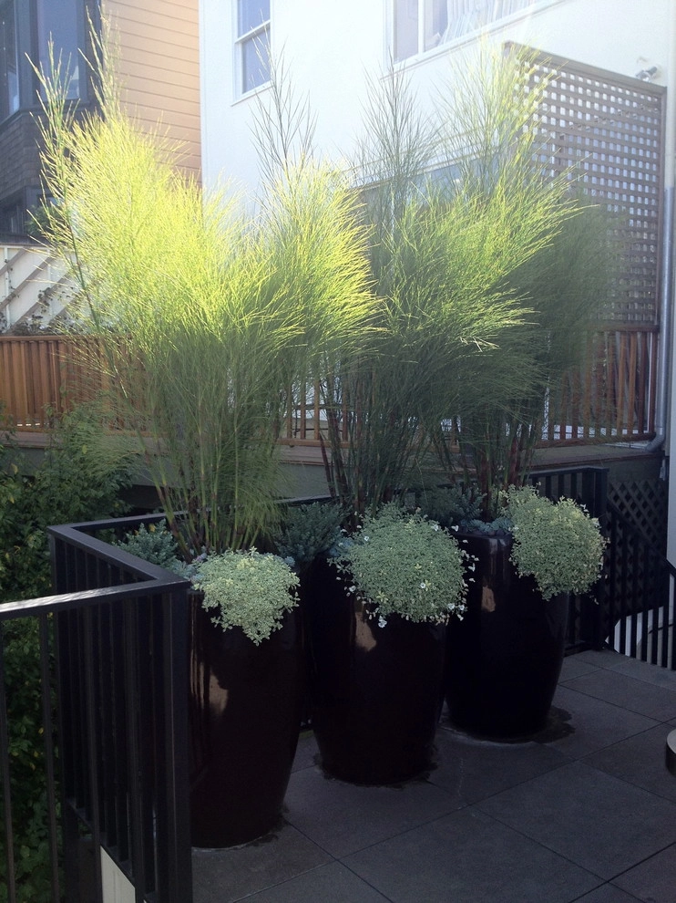 Garden Fantasia - Photo 4