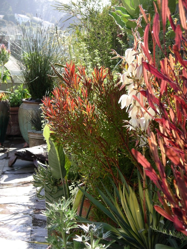Container gardens by Garden Fantasia - Photo 46