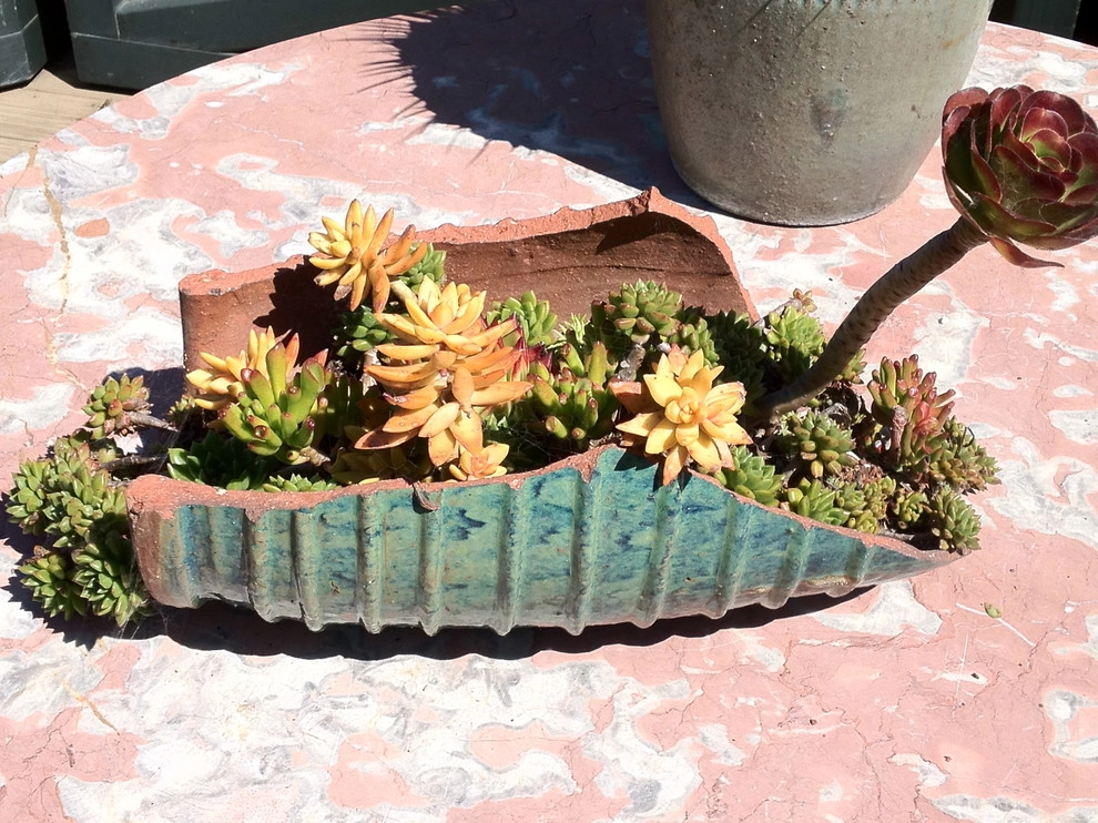 Garden Fantasia - Photo 8