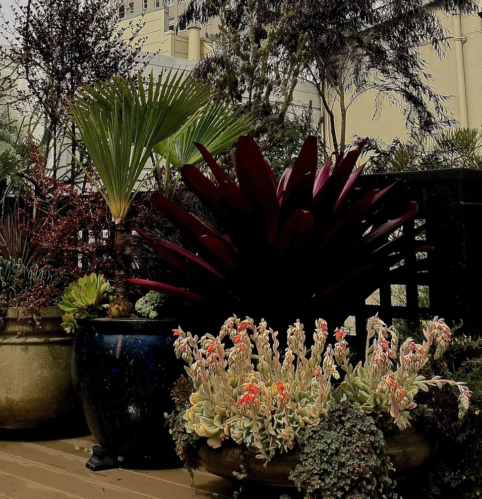 Container gardens by Garden Fantasia - Photo 29