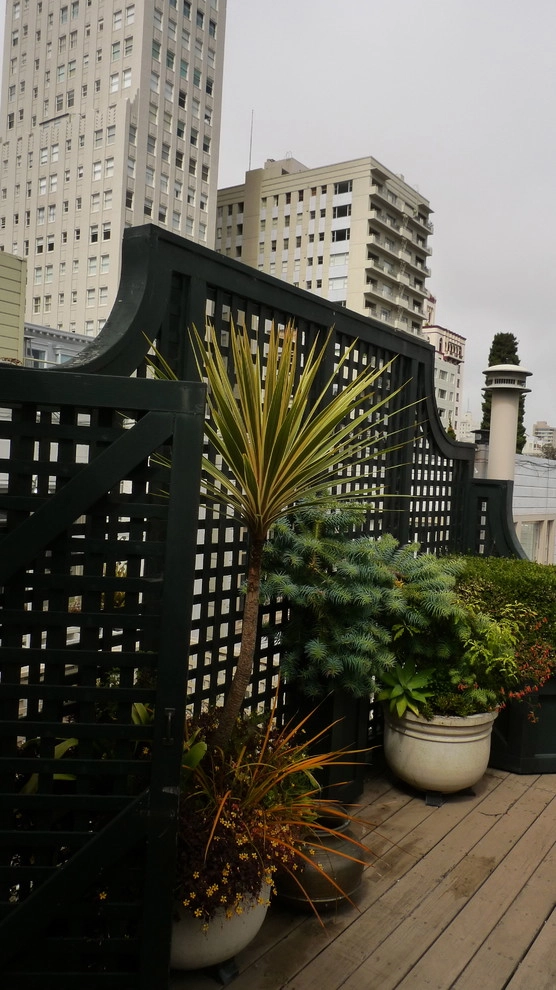 Container gardens by Garden Fantasia - Photo 19