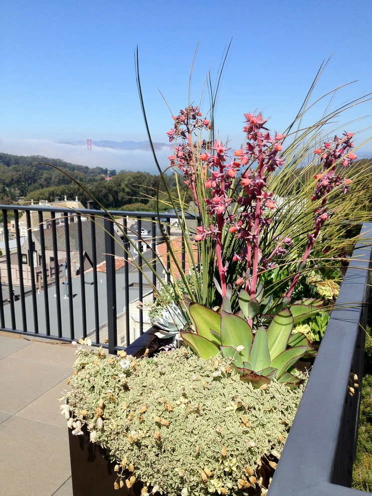 Container gardens by Garden Fantasia - Photo 30
