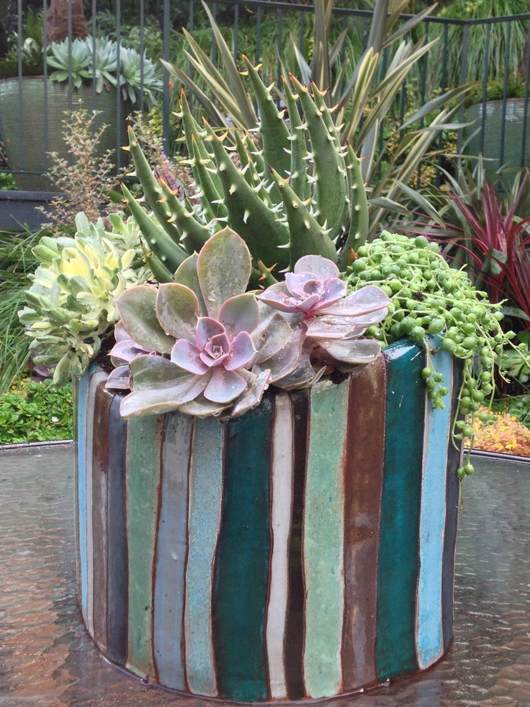 Container gardens by Garden Fantasia - Photo 13