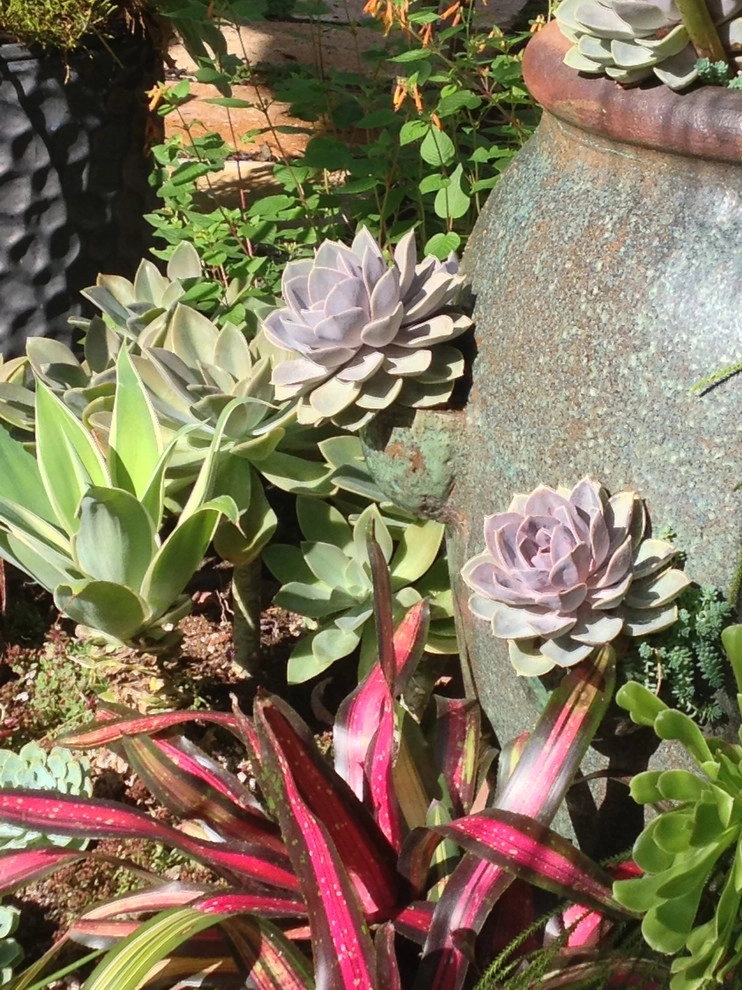 Container gardens by Garden Fantasia - Photo 15