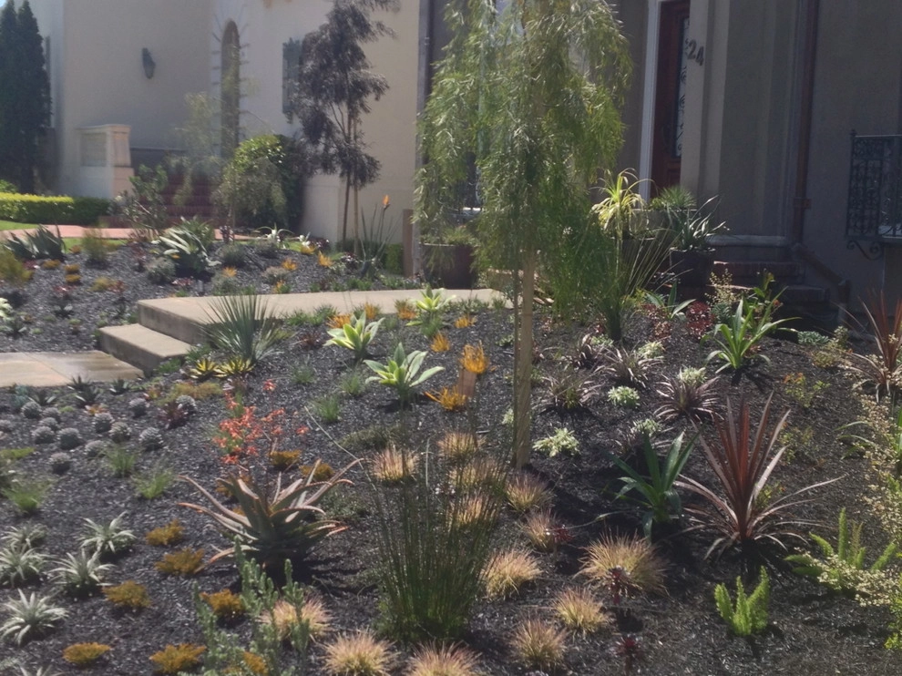 San Francis Woods by Garden Fantasia - Photo 6
