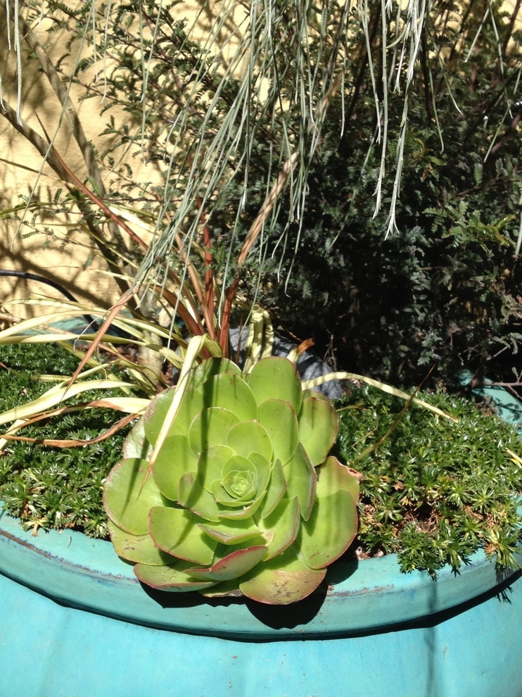 Container gardens by Garden Fantasia - Photo 11